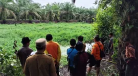 Seorang Warga Pesisir Selatan Hilang di Sungai Saat Mencari Sayur Diduga Diseret Buaya. (Dok TVRI News)  