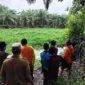 Seorang Warga Pesisir Selatan Hilang di Sungai Saat Mencari Sayur Diduga Diseret Buaya. (Dok TVRI News)  